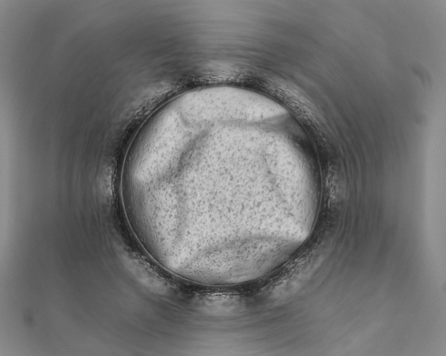 X0000111680546200907311221