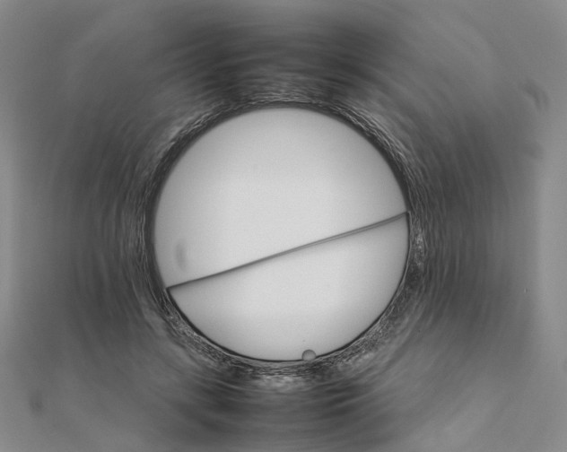 X0000111680547200907311221