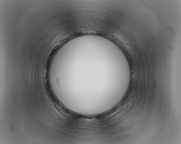 X0000111680548200907311221