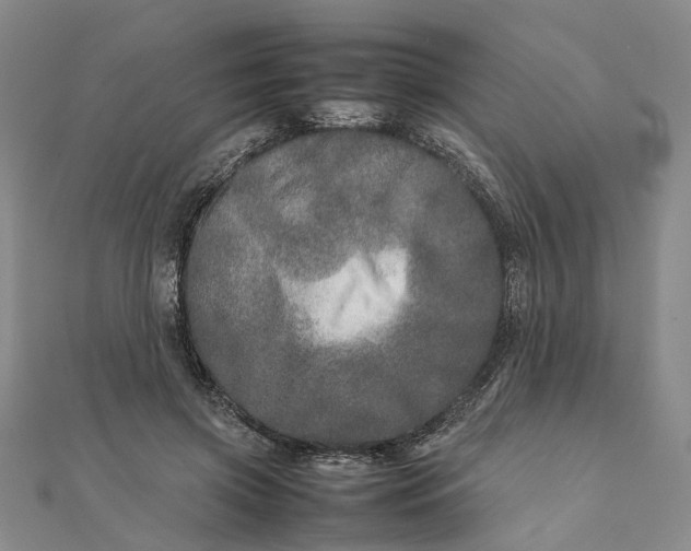 X0000111680549200907311221