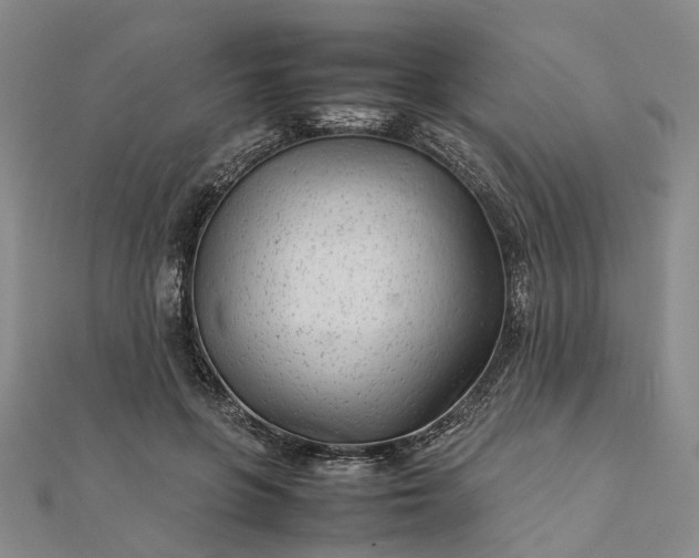 X0000111680551200907311221