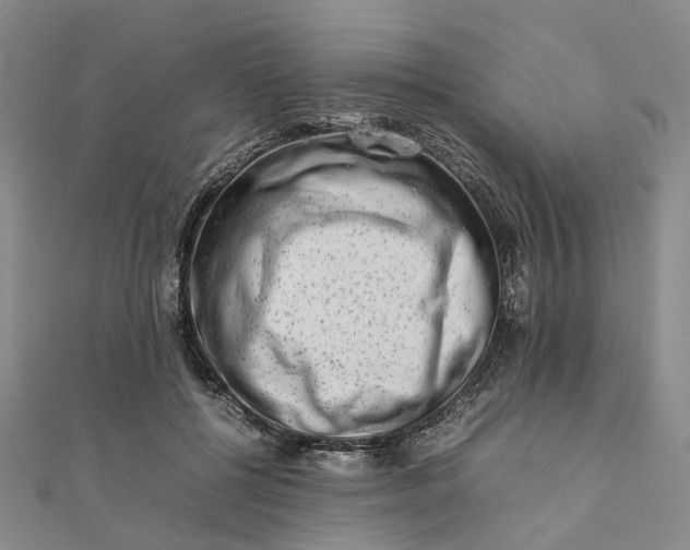 X0000111680552200907311222