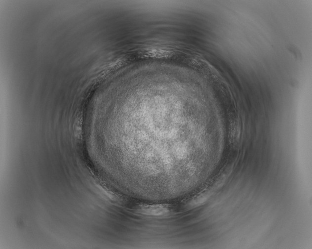 X0000111680553200907311222