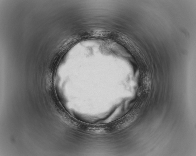 X0000111680554200907311222