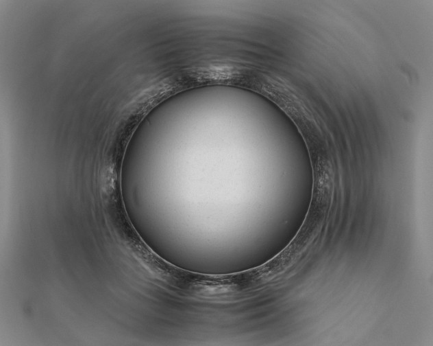 X0000111680555200907311222