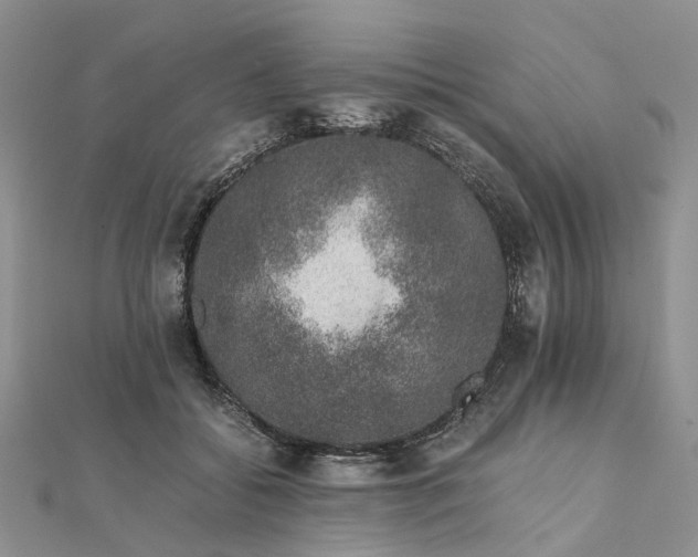 X0000111680556200907311222