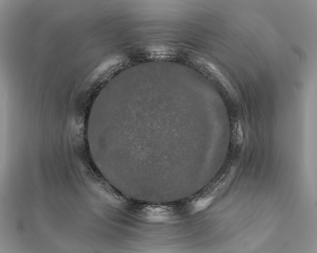 X0000111680557200907311222