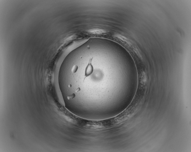 X0000111680559200907311222