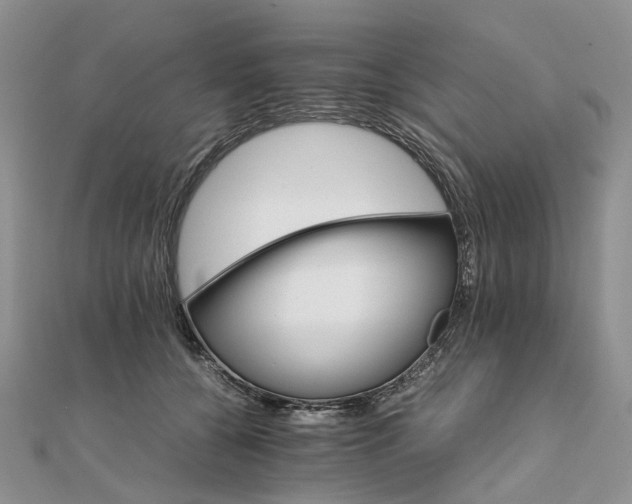 X0000111680560200907311222