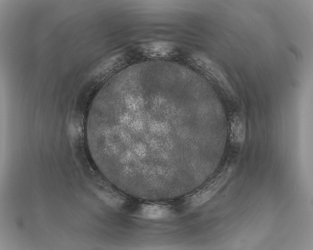 X0000111680561200907311222