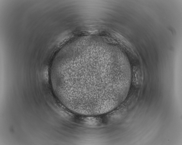 X0000111680562200907311222