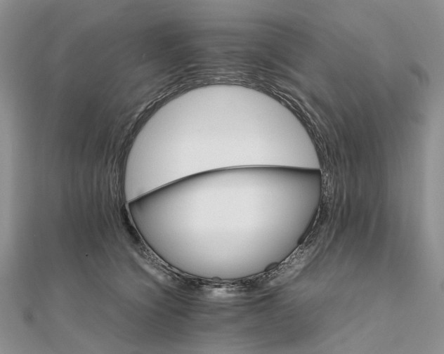 X0000111680564200907311222