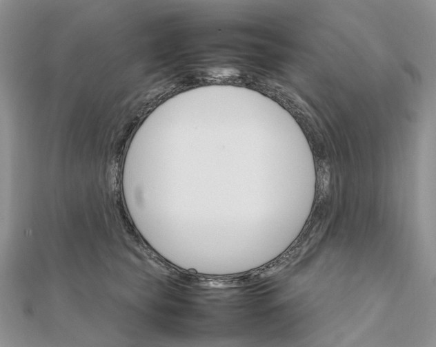 X0000111680565200907311222