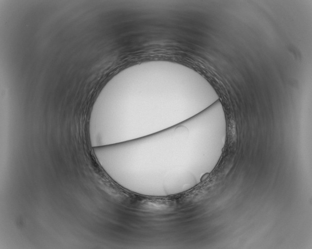 X0000111680567200907311222