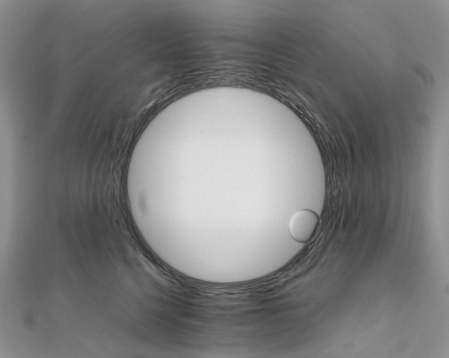 X0000111680568200907311222