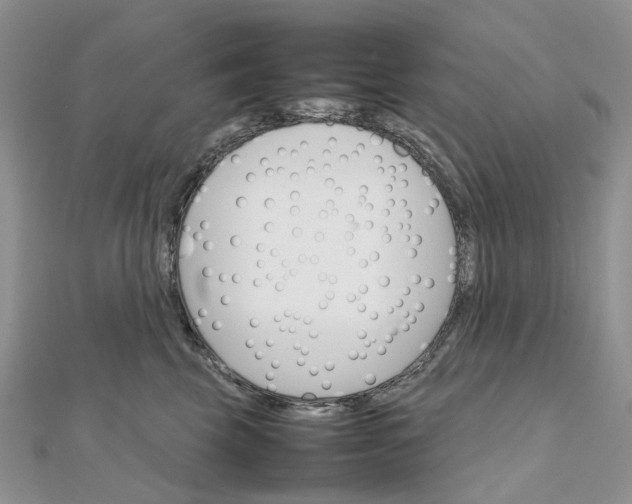 X0000111680569200907311222