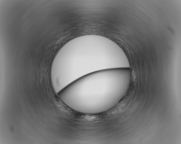 X0000111680570200907311222