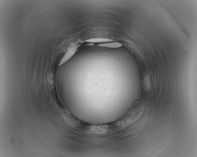 X0000111680571200907311222