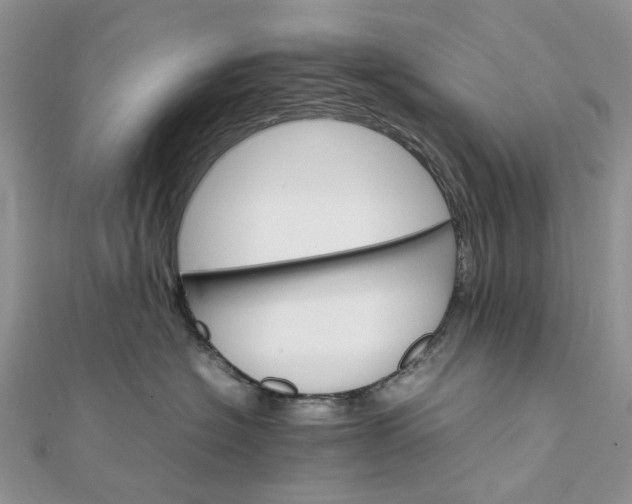 X0000111680574200907311222