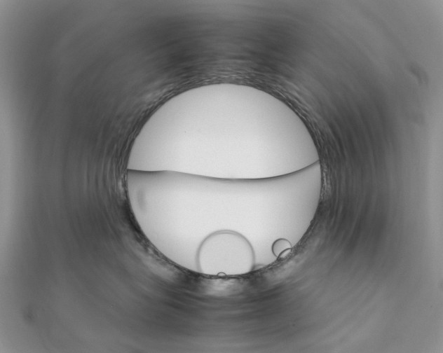 X0000111680575200907311222