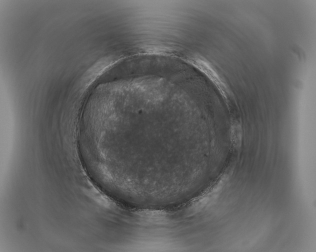 X0000111680577200907311221