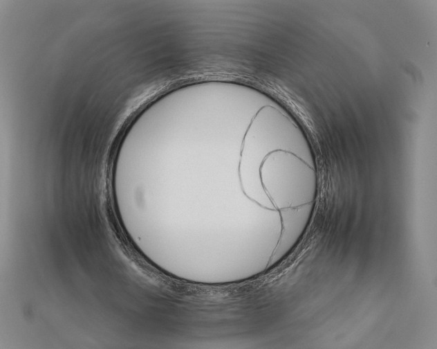 X0000111680578200907311221