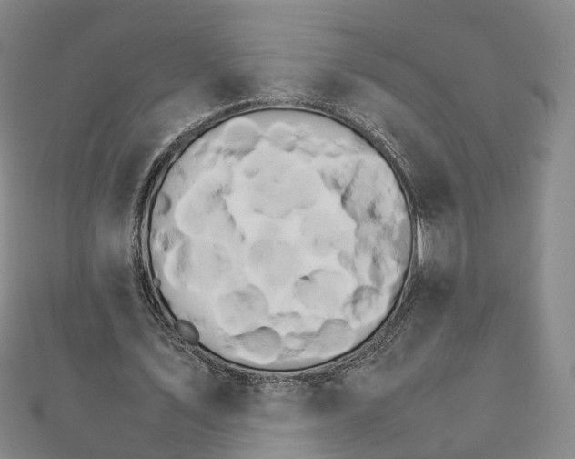 X0000111680579200907311221