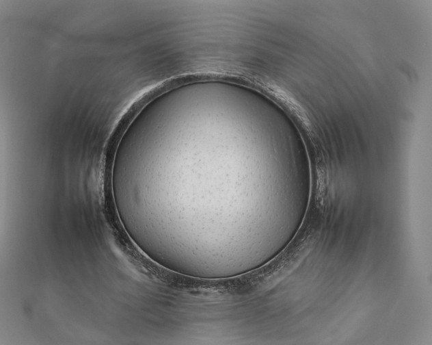 X0000111680580200907311221