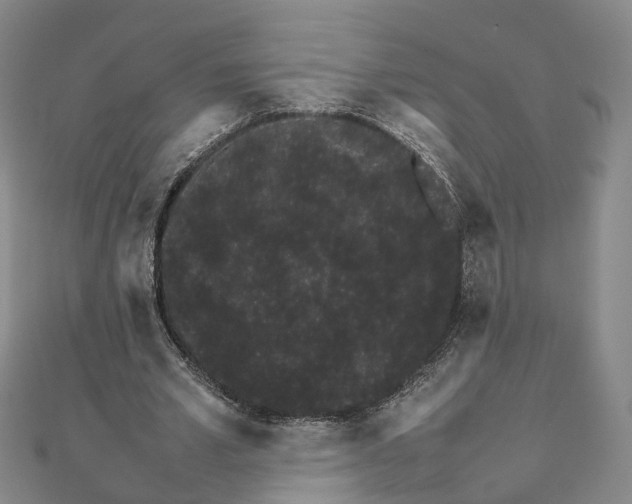 X0000111680581200907311221