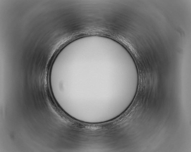 X0000111680582200907311221