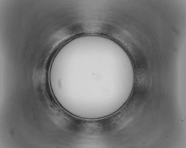 X0000111680583200907311221