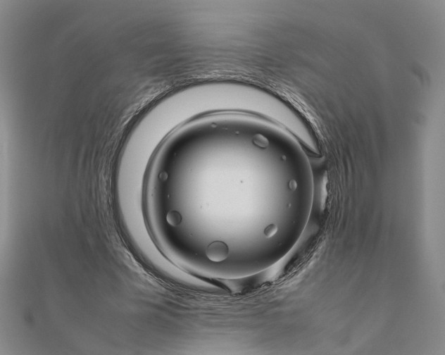 X0000111680585200907311221