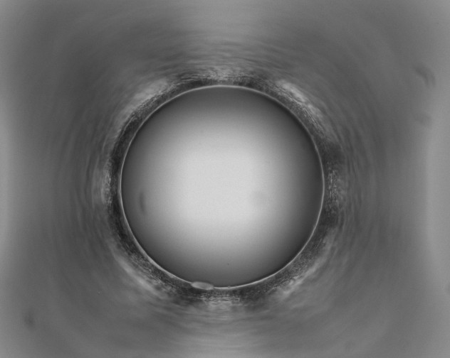 X0000111680587200907311221