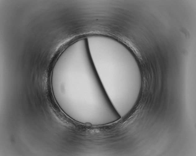 X0000111680588200907311221