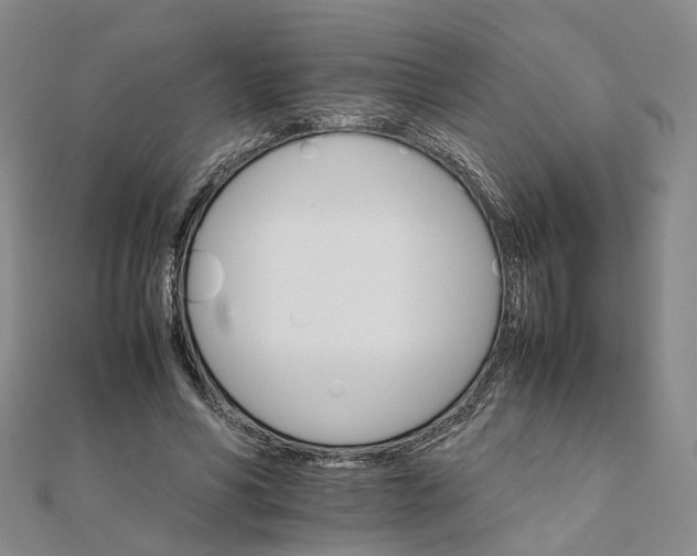 X0000111680590200907311221