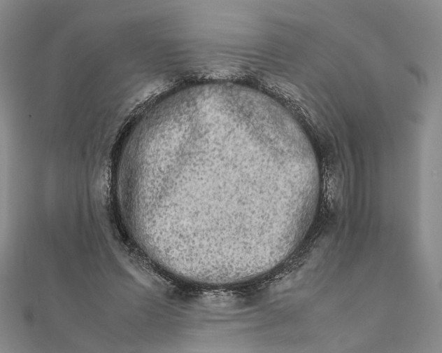 X0000111680591200907311221