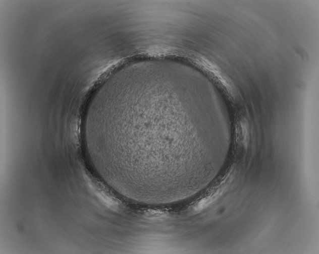 X0000111680592200907311221