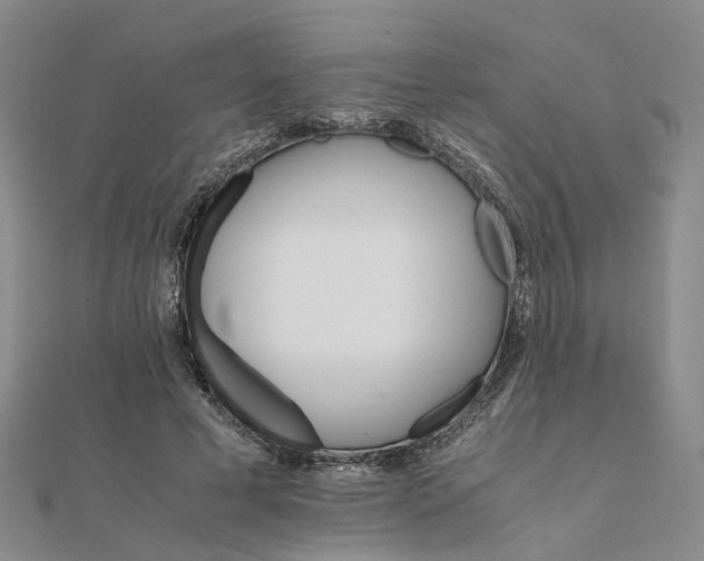 X0000111680593200907311221