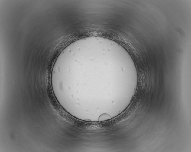 X0000111680594200907311221