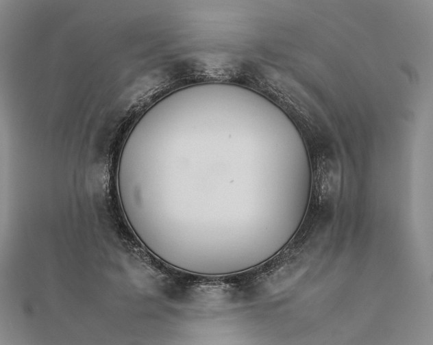 X0000111680595200907311221