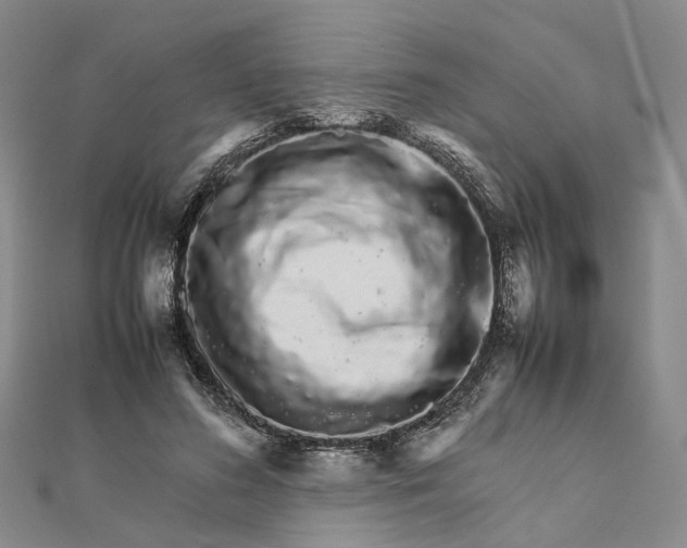 X0000111680596200907311221