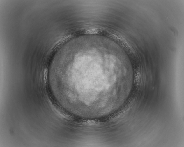 X0000111680598200907311221