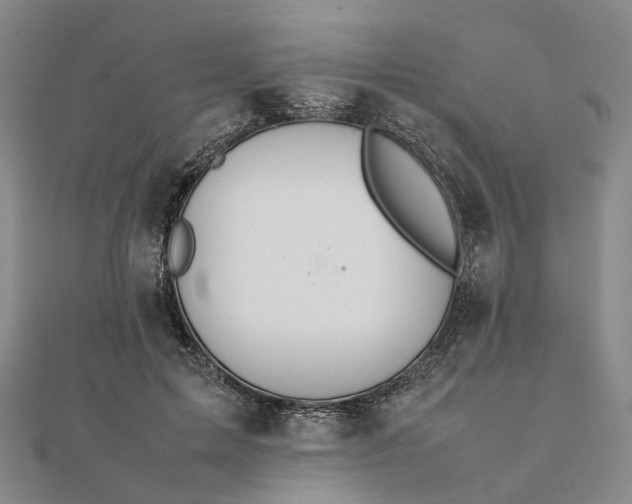 X0000111680599200907311221