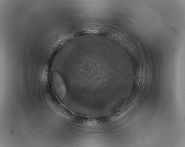 X0000111680600200907311221