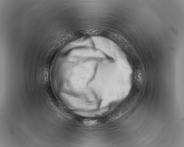 X0000111680602200907311221