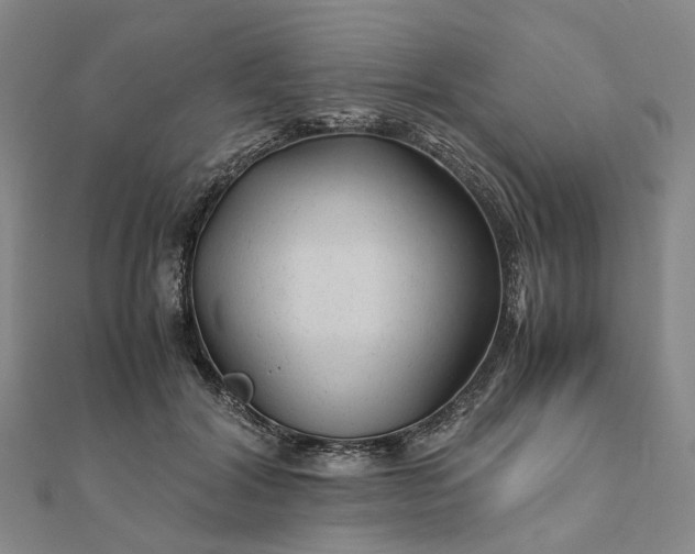 X0000111680604200907311221