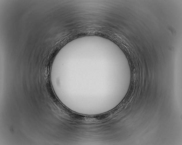 X0000111680605200907311221