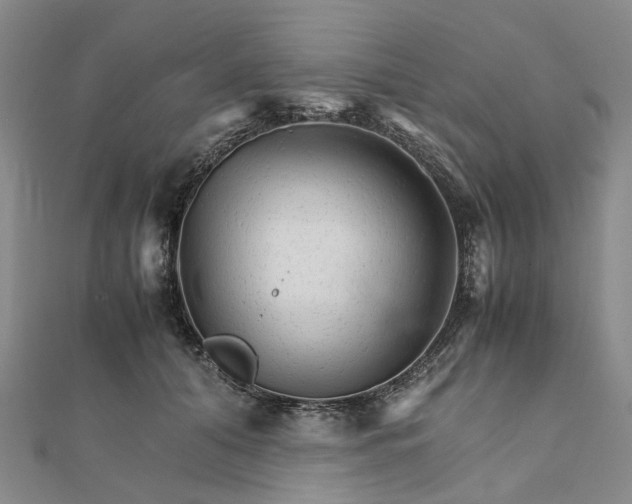 X0000111680608200907311221