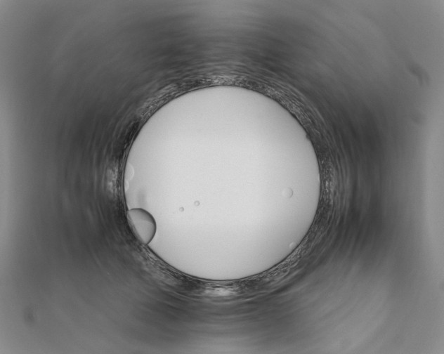 X0000111680610200907311221