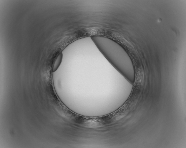 X0000111680611200907311221